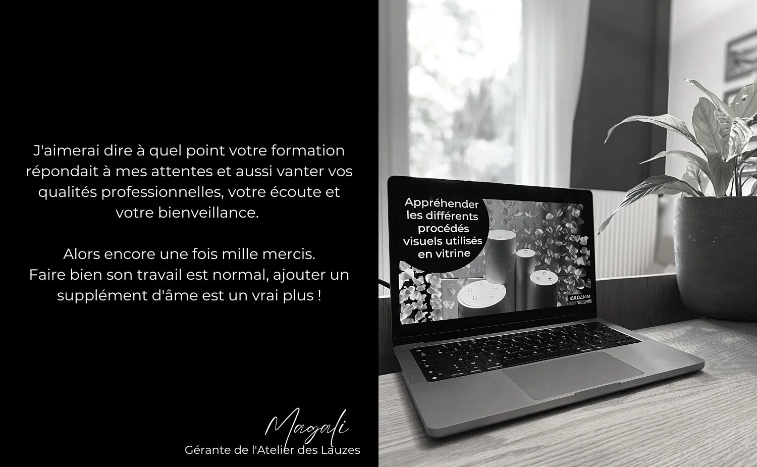 mildamm merchandising photo avis client16